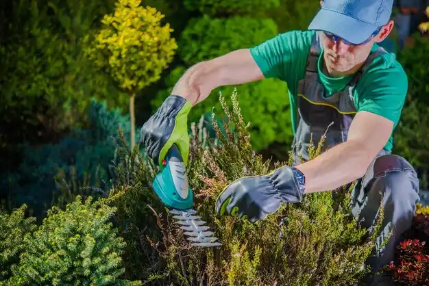 landscaping services Rocky Fork Point